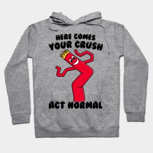 Act Normal! Hoodie